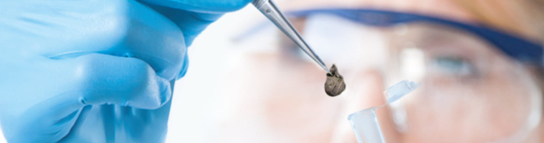 Chew on this: Historic “gum” records DNA